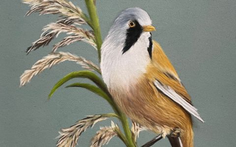 Swallowtail Fine Artists Exhibition image
