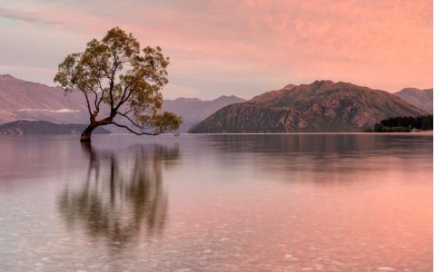 Bury St Edmunds Photographic Society Exhibition 2023 image